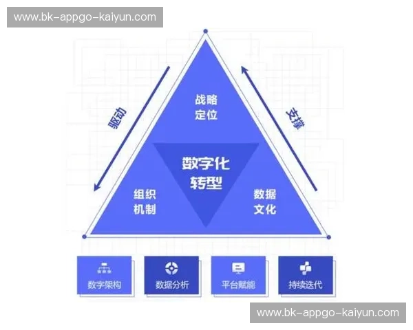 开云入口快速：轻松开启数字化转型新时代